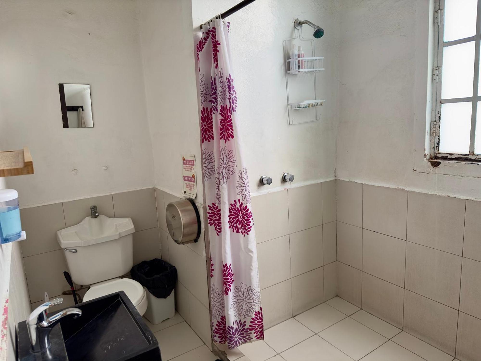 Massiosare El Hostal Mexico City Room photo